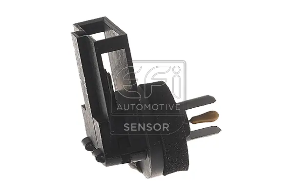 EFI AUTOMOTIVE 295110