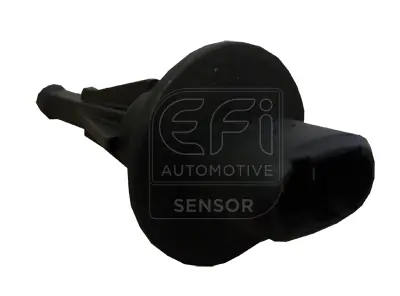 EFI AUTOMOTIVE 295049