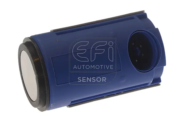 EFI AUTOMOTIVE 306031