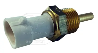 EFI AUTOMOTIVE 295070