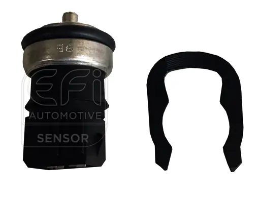 EFI AUTOMOTIVE 295175