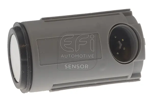 EFI AUTOMOTIVE 306069