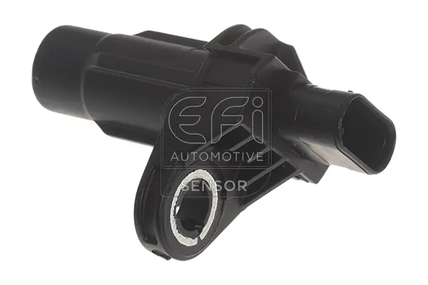 EFI AUTOMOTIVE 141221