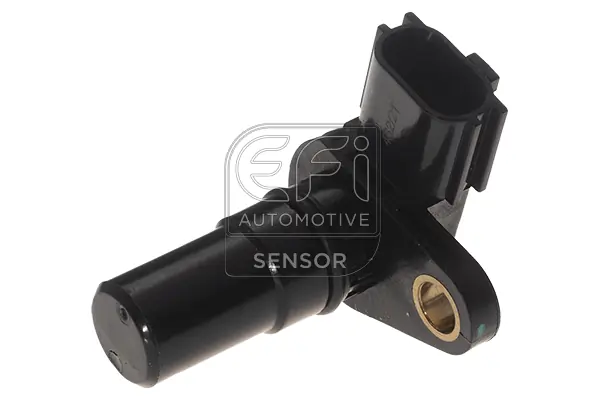 EFI AUTOMOTIVE 303495