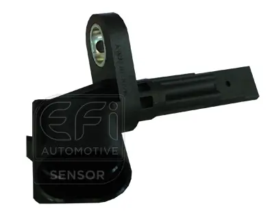 EFI AUTOMOTIVE 302089