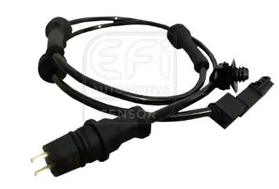 EFI AUTOMOTIVE 302025