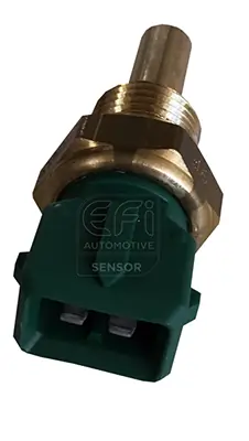 EFI AUTOMOTIVE 295037