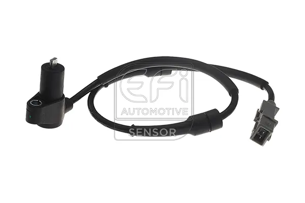 EFI AUTOMOTIVE 302006
