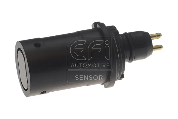 EFI AUTOMOTIVE 306015
