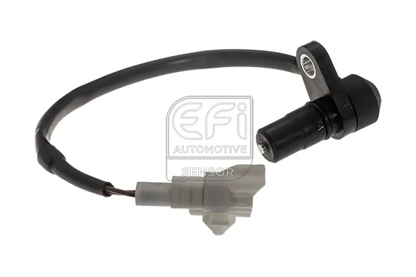 EFI AUTOMOTIVE 303513