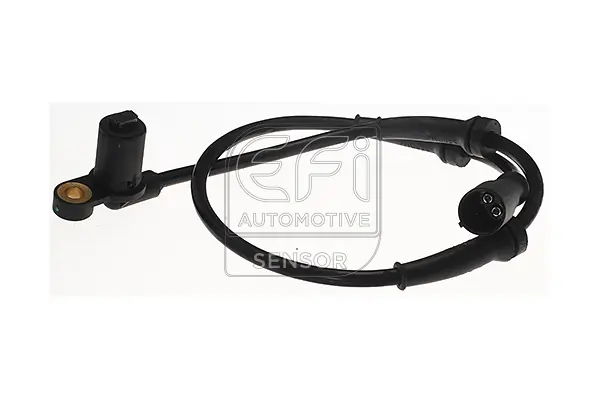 EFI AUTOMOTIVE 302005