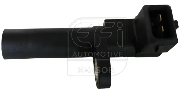 EFI AUTOMOTIVE 145506