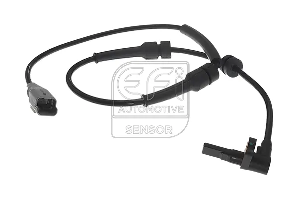 EFI AUTOMOTIVE 302086