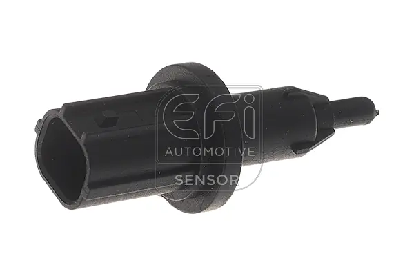 EFI AUTOMOTIVE 295031
