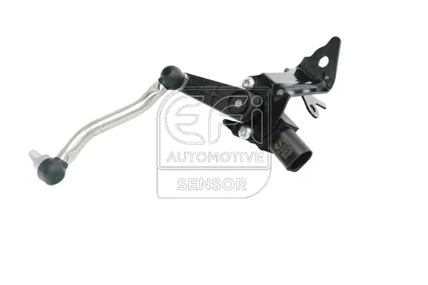 EFI AUTOMOTIVE 307019