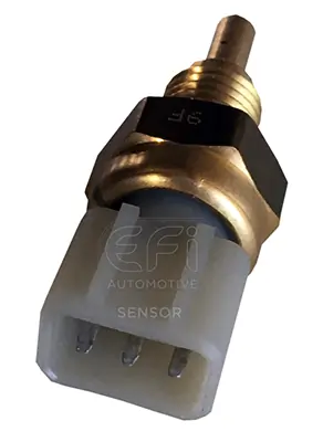 EFI AUTOMOTIVE 295073
