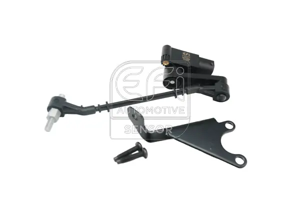 EFI AUTOMOTIVE 307039