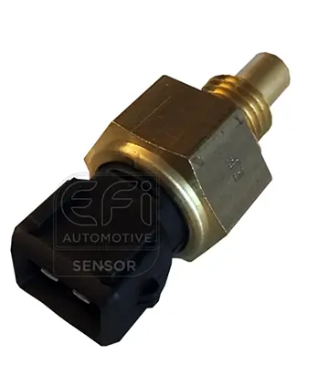 EFI AUTOMOTIVE 295177