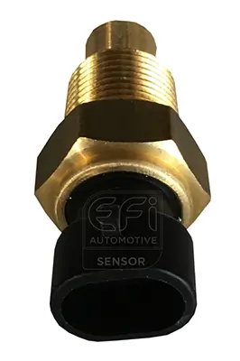 EFI AUTOMOTIVE 295067