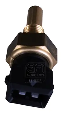 EFI AUTOMOTIVE 295017
