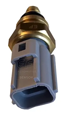 EFI AUTOMOTIVE 295157
