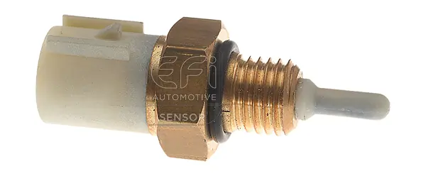 EFI AUTOMOTIVE 295047