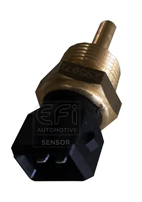 EFI AUTOMOTIVE 295071
