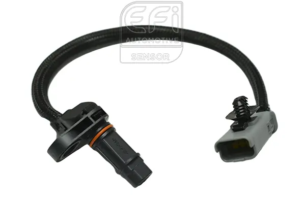 EFI AUTOMOTIVE 303392