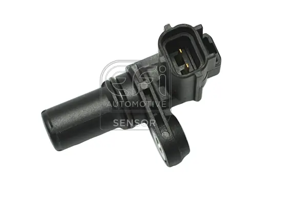 EFI AUTOMOTIVE 145518
