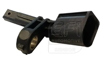 EFI AUTOMOTIVE 302063