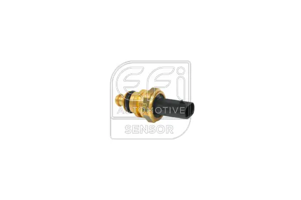 EFI AUTOMOTIVE 296021