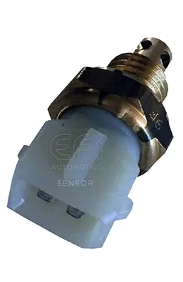 EFI AUTOMOTIVE 295034