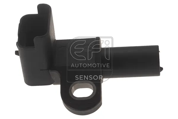EFI AUTOMOTIVE 144361