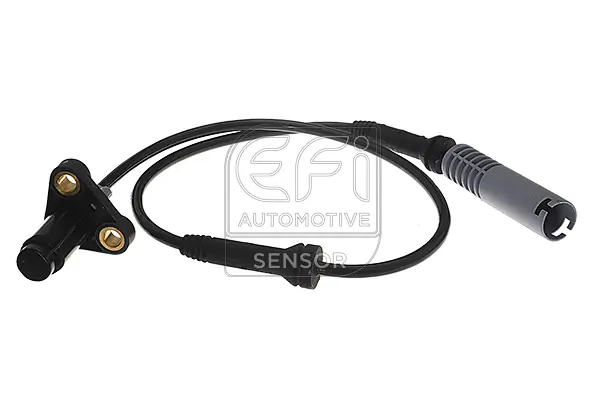 EFI AUTOMOTIVE 302043
