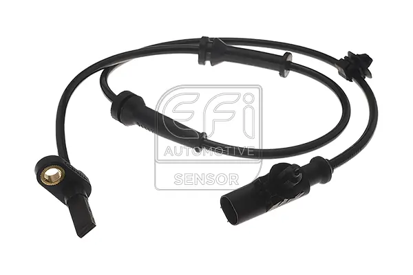 EFI AUTOMOTIVE 302078