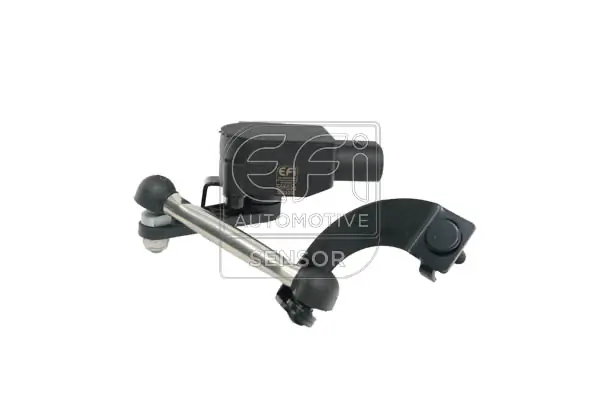 EFI AUTOMOTIVE 307030