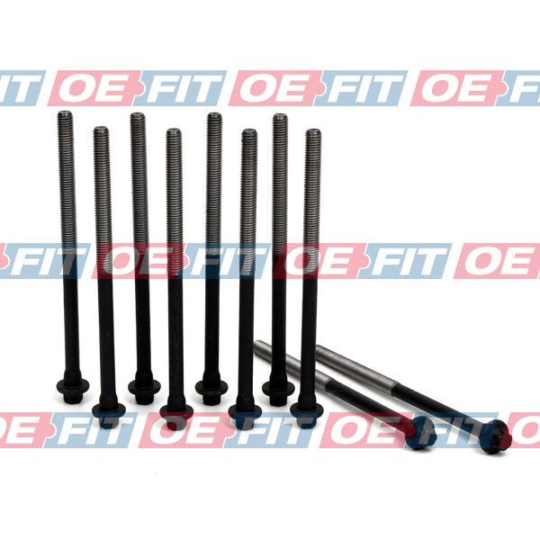 OE-FIT Schäferbartho 310 27 601 03 22