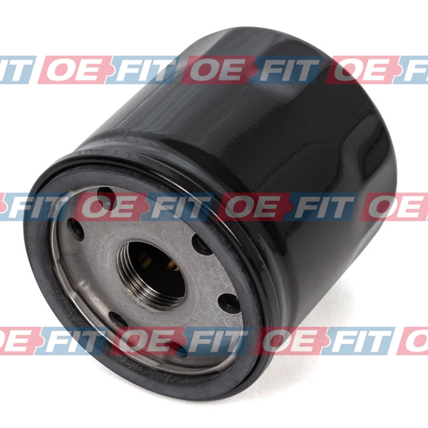 OE-FIT Schäferbartho 310 06 227 03 22