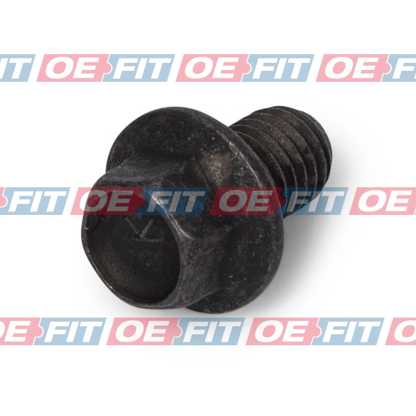 OE-FIT Schäferbartho 100 06 203 03 22