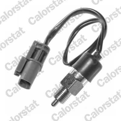CALORSTAT by Vernet RS5545