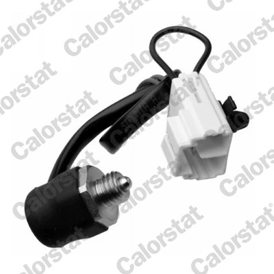 CALORSTAT by Vernet RS5596