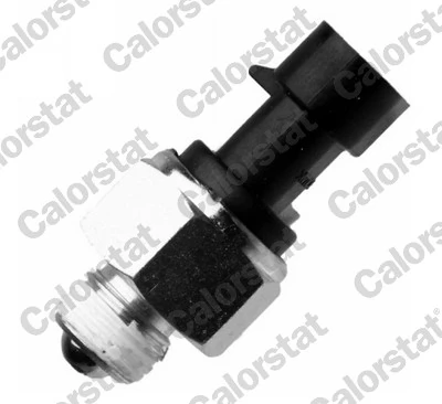 CALORSTAT by Vernet RS5590