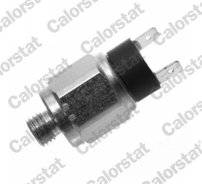 CALORSTAT by Vernet BS4595