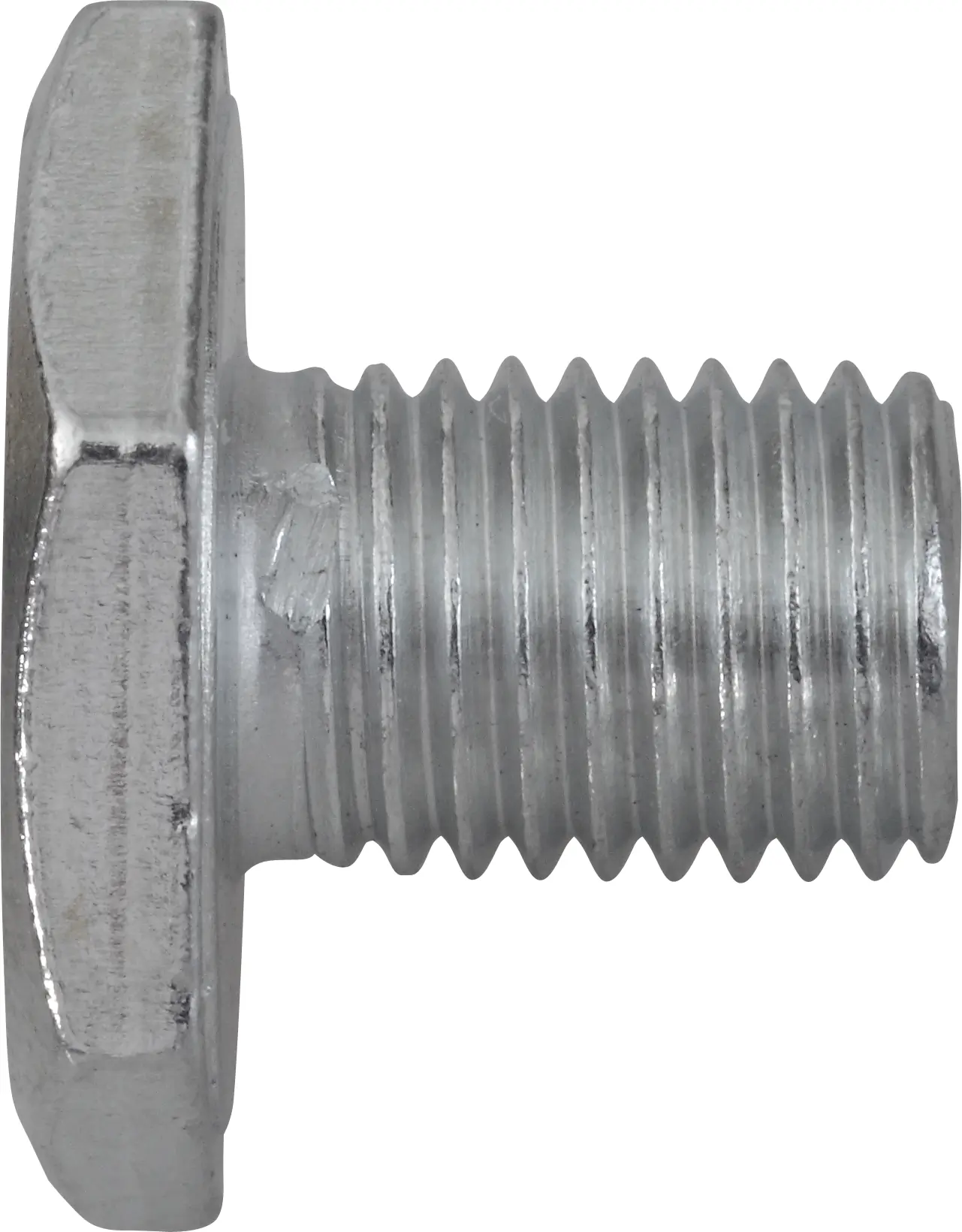 SWG Automotive 24300100116