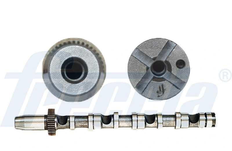 FRECCIA CM05-2190