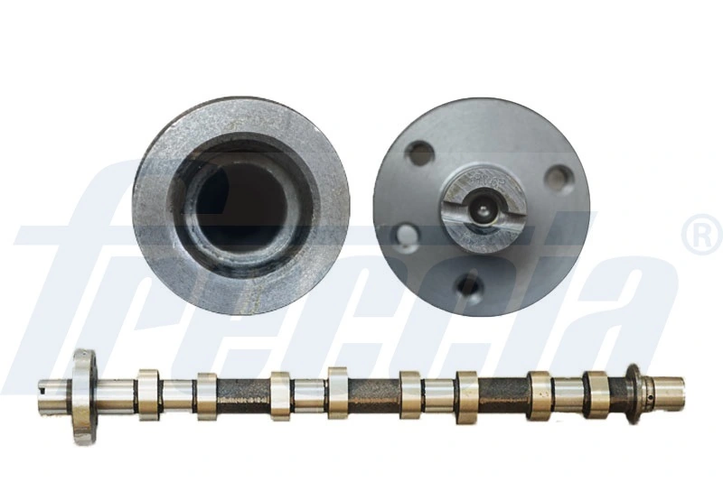 FRECCIA CM05-2194