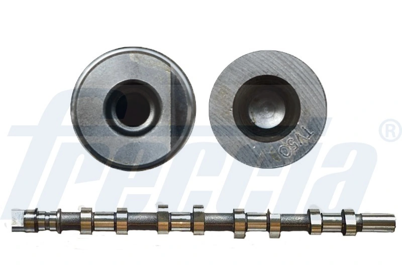 FRECCIA CM05-2165