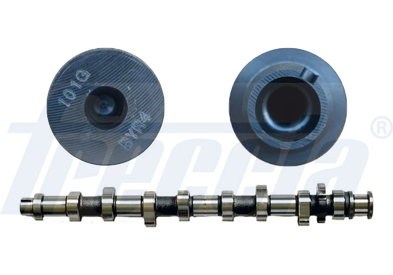 FRECCIA CM05-2191