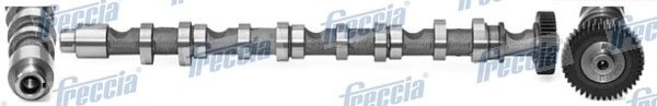 FRECCIA CM05-2196