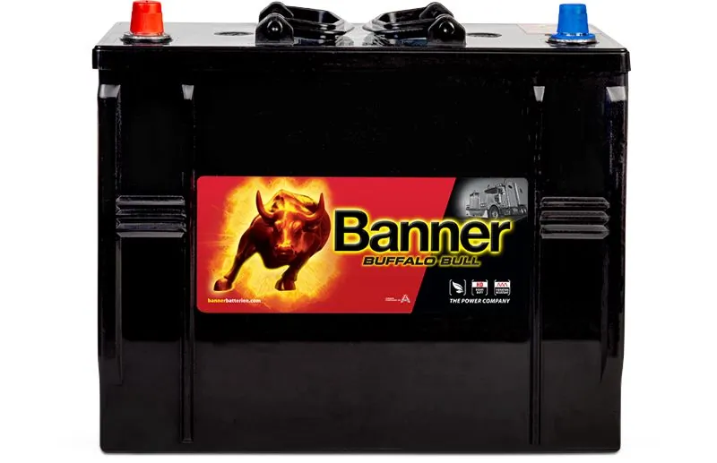 Banner 010625130101